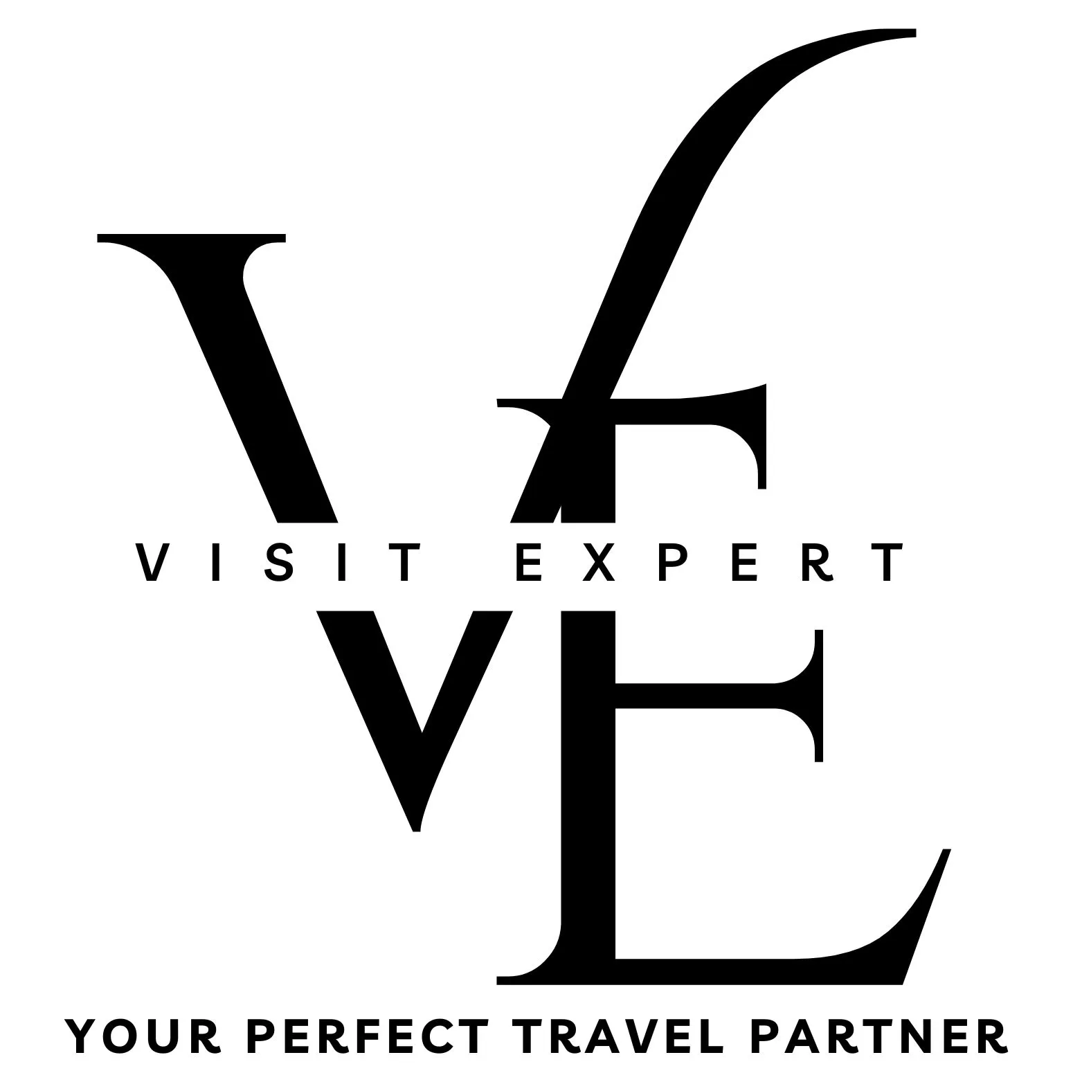 visit expert logo